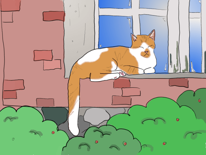 An orange and white cat napping on a windowsill