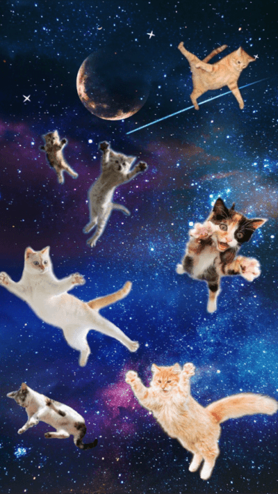Cats floating aimlessly in space
